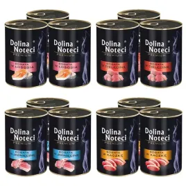 dolina-noteci-premium-mix-smakow-dla-kota-12x-400g