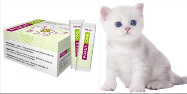 preparat-porus-one-30x500mg-stan-opakowania-oryginalne