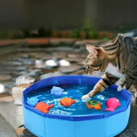 basen-dla-kota-z-6-rybkami-zestaw-zabawek-dla-kota-ebook-gratis