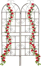 zestaw-2-kwietnikow-do-winorosli-179-x-52-x-2-cm-relaxdays