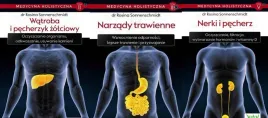 pakiet-3x-medycyna-holistyczna-watroba-narzady-trawienne-nerki-i