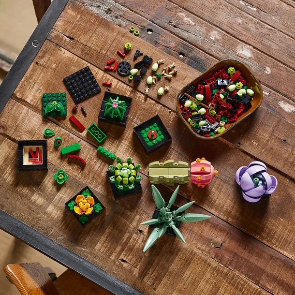 lego-botanicals-10309-sukulenty-wiek-dziecka-18-lat