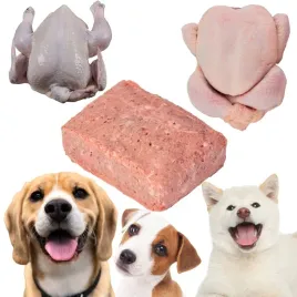 karma-dla-psa-mokra-mieso-surowe-mrozone-drob-tuszki-witaminy-barf-10kg