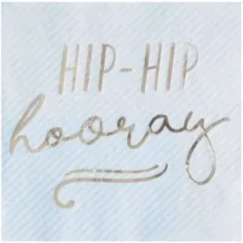 serwetki-hip-hip-hooray-niebieskie-ginger-ray-33-cm-16-szt