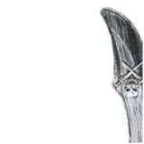 bron-miecz-pirata-boland-37-cm