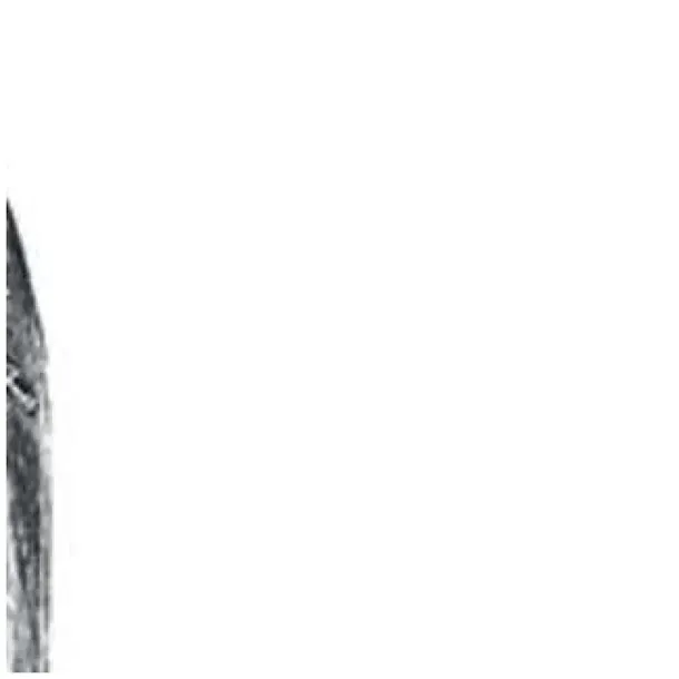 bron-miecz-pirata-boland-37-cm