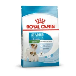 royal-canin-mini-puppy-starter-1kg-oryginalne-opakowanie