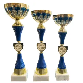 zestaw-3-pucharow-wedkarskich-37-335-32cm-ryba-karp-zawody-opis