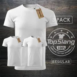 topslang-koszulka-meska-bawelniana-biala-na-wf-3-pack-t-shirt-meski-bialy-r