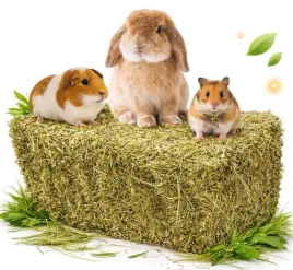 siano-naturalne-4kg-dla-krolika-chomika-gryzoni-karma