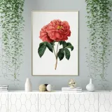plakat-cyfrowy-do-wydruku-czerwon-roza-format-plakatu-format-a2-format-a3-format-a4-b2