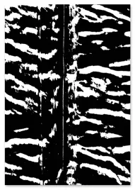 plakat-cyfrowy-do-wydruku-zebra-pasy