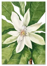plakat-cyfrowy-do-wydruku-zielone-kwiaty