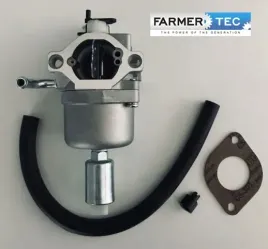 gaznik-briggsandstratton-591731-594593-794572-796109-farmertec