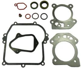 zestaw-uszczelek-briggsandstratton-seria-450-500-550-ohv