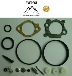 zestaw-naprawczy-briggsandstratton-quantum-492495-493762-498260