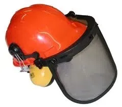 kask-ochronny-z-ochonnikami-sluchu