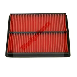 filtr-pow-honda-gx610-gx620-gxv610-gxv620-17210-zj1-841-17210-zj1-8