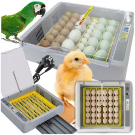 inkubator-automatczny-wylegarka-owoskop-klujnik-pisklat-obracanie-jajka-36