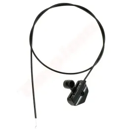 linka-ayp-131922-532-13-19-22