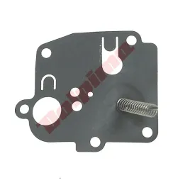membrana-do-briggsandstratton-391681