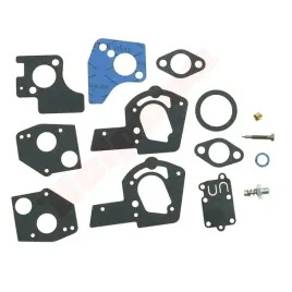 membrana-do-briggsandstratton-495606-494624