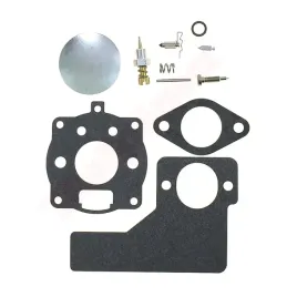 membrana-do-briggsandstratton-391071-394989
