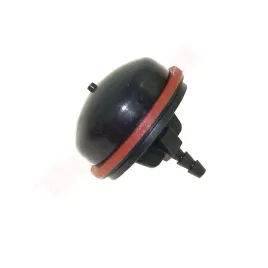 pompka-bands-790221-793382