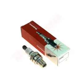 swieca-dolpima-mini-cmr6h-usr7ac