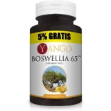boswellia-65-120-kaps-yango