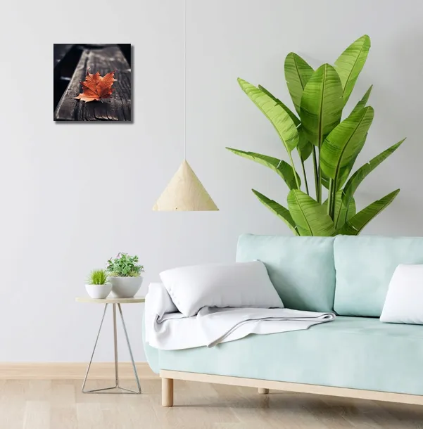 obraz-30x30cm-pojedynczy-lisc-stan-nowy