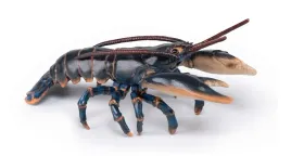 figurka-kolekcjonerska-homar-papo