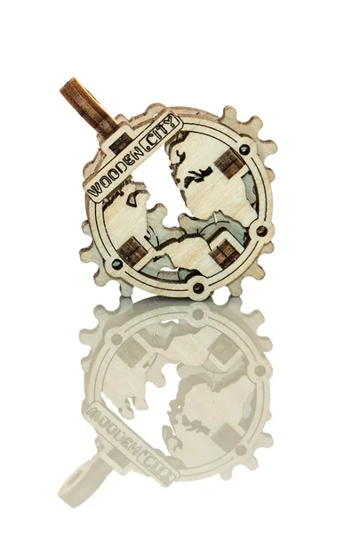 drewniane-puzzle-3d-kontynenty-plec-unisex