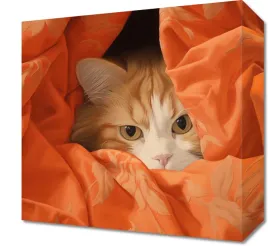 obraz-30x30cm-ukryty-kot