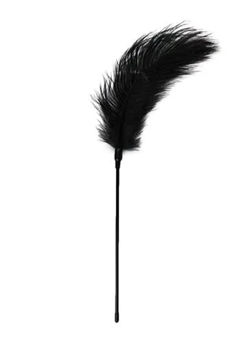 pejcz-black-feather-tickler-stan-nowy