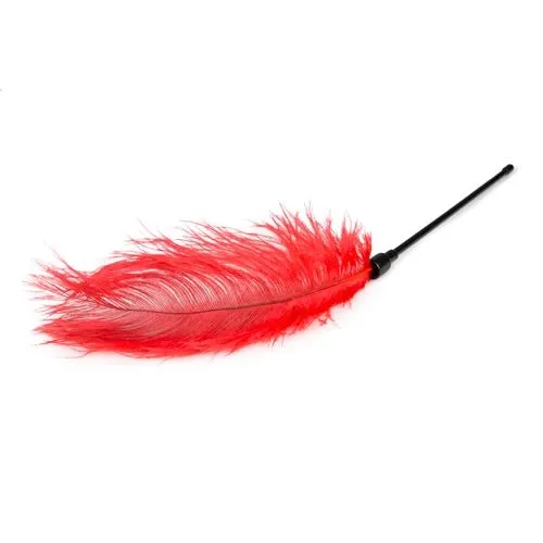 pejcz-red-feather-tickler