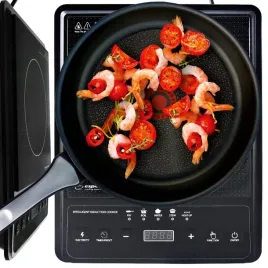 kuchenka-indukcyjna-elektryczna-jednopalnikowa-plyta-grzewcza-indukcja