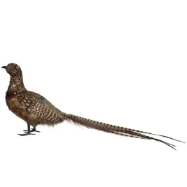 figurka-bazant-replika-ptak-70cm-dekoracyjna-realistyczna-prawdziwe-piora