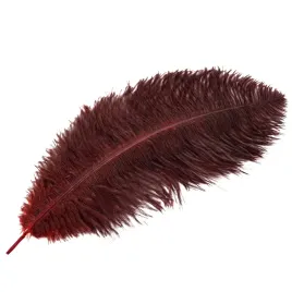 pioro-strusie-duze-dekoracyjne-burgundowe-60cm-do-wazonow-naturalne