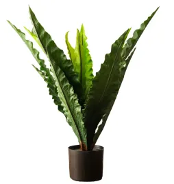 sztuczna-roslina-podlogowa-paproc-duza-realistyczna-do-salonu-80cm