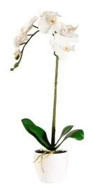 sztuczna-orchidea-storczyk-bialy-jak-zywy-silikonowy-realistyczna-dekoracja