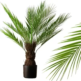sztuczna-palma-jak-zywa-roslina-kwiat-do-salonu-ozdoba-realistyczna-80cm