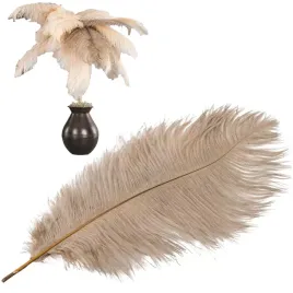 pioro-strusie-dekoracyjne-40cm-bezowe-do-stroikow-dekoracji-wazonow-ozdobne