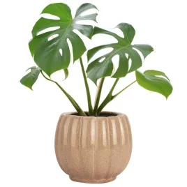oslonka-na-doniczke-bezowa-16cm-donica-skandynawska-na-parapet-kwiaty-taras