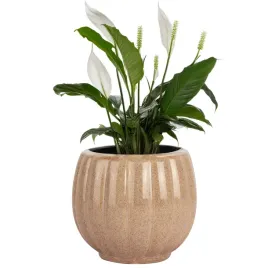 doniczka-oslonka-ceramiczna-bezowa-13cm-mala-na-ziola-parapet-kwiaty-taras