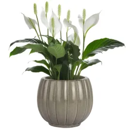 oslonka-na-doniczke-13cm-mala-szara-ceramiczna-na-sukulenty-kwiaty-taras