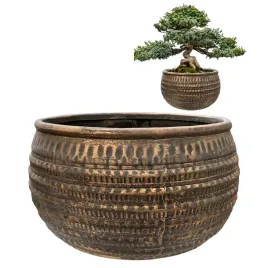 doniczka-plaska-duza-27cm-betonowa-na-bonsai-parapet-kwiaty-do-salonu-loft