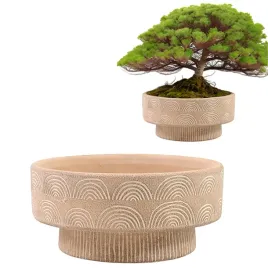 doniczka-boho-na-bonsai-25cm-niska-plaska-duza-na-balkon-taras-bezowa-beton