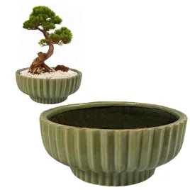 doniczka-zielona-26cm-plaska-niska-ceramika-okragla-na-bonsai-kaktusy