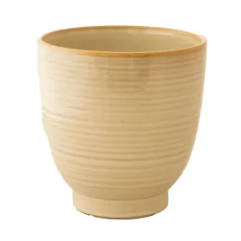 doniczka-duza-wysoka-bezowa-ceramiczna-do-salonu-na-prezent-17cm